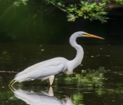 2016 06 11 WildLife MPLS 152